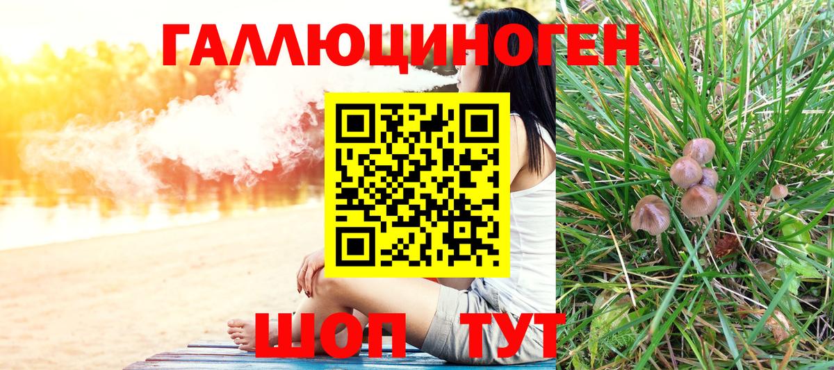 Псилоцибиновые грибы ЛСД  купить закладку  Галлюциногенные грибы GOLDEN TEACHER  Ростов-на-Дону  Вход с VPN 
